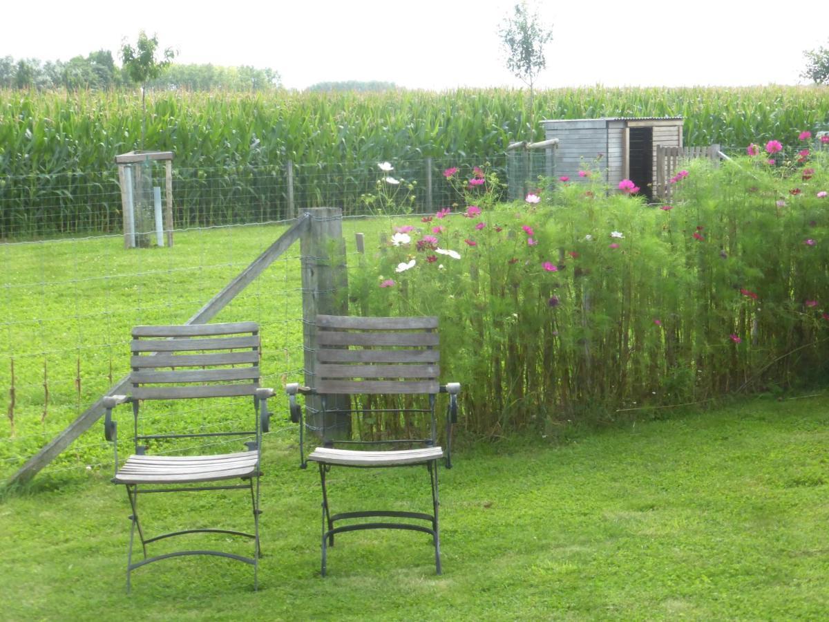 Bed and Breakfast De Zevende Zon Poperinge Zewnętrze zdjęcie
