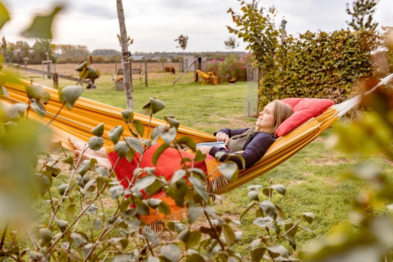 Bed and Breakfast De Zevende Zon Poperinge Zewnętrze zdjęcie